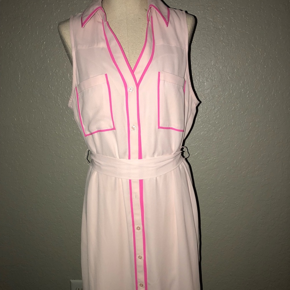 Express Pink Dress